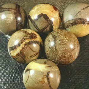 80-90g NATURAL Septarian Dragon stone powerful sphere fossilized Mud w/ Stand